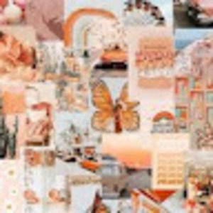 Meet your Posher, Sydney